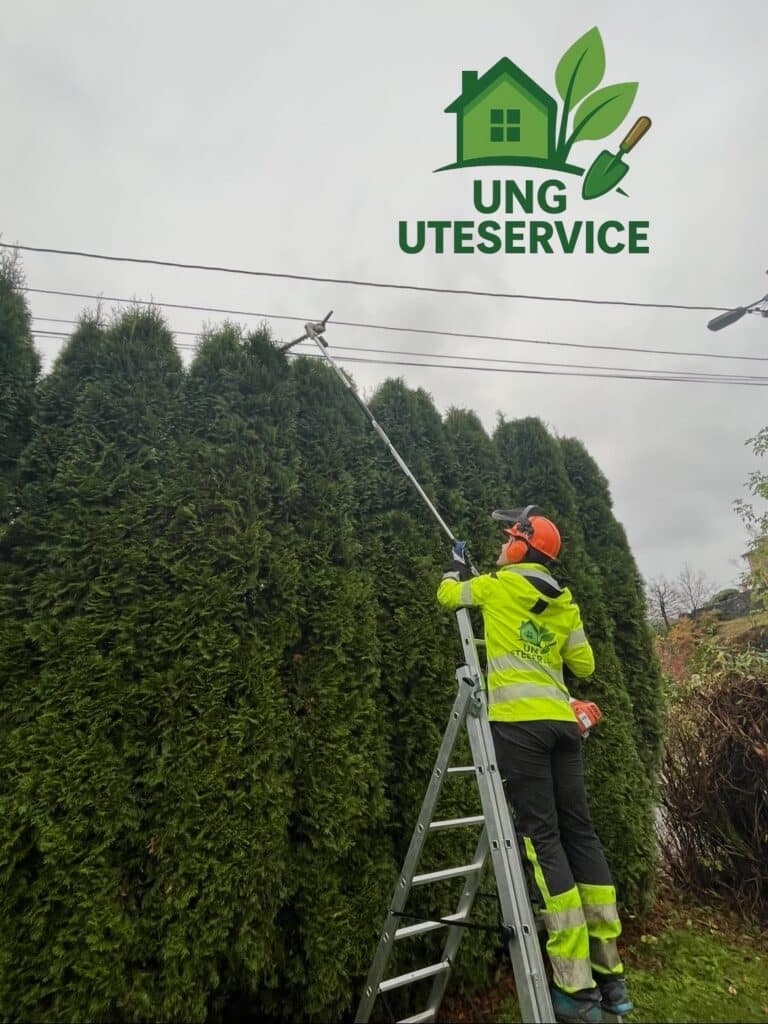 Ung Uteservice Om oss. Hagehjelp i bergen.