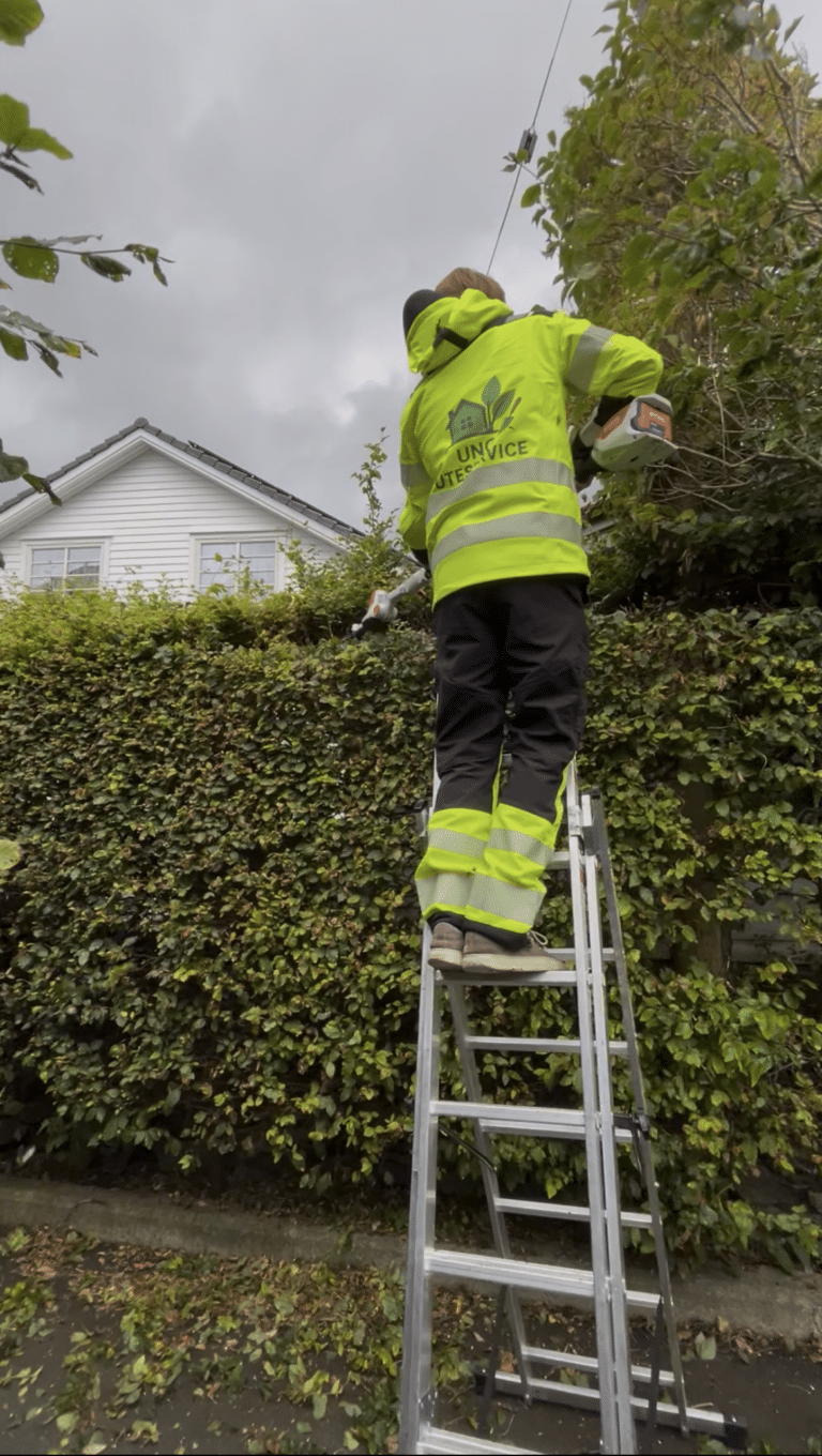 Hekkeklipp i Bergen av ung uteservice