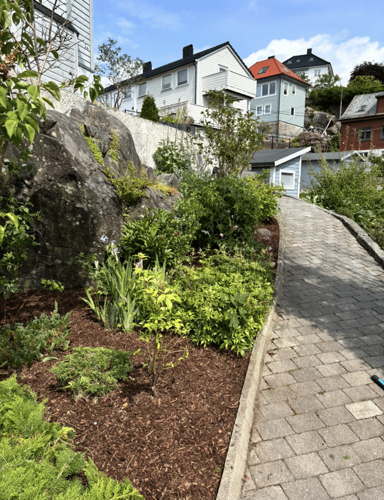 Ny bark i Bergen